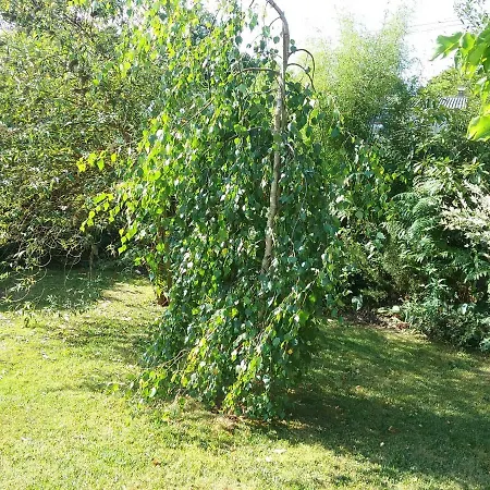 Hameau De La Brelaudière Villa *